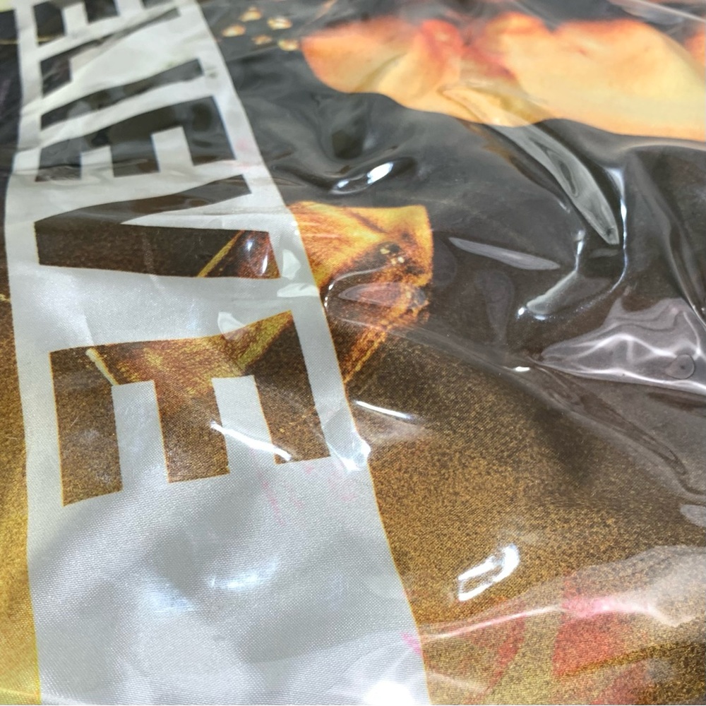 Justin Bieber Believe Tour VIP Large Collectible Bag - Picture 3 of 5